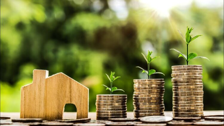 Learn How to Find Your Perfect Financial Match